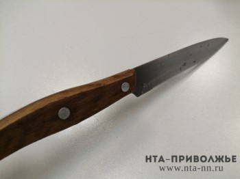 Буйный мужчина с ножом задержан в Нижнем Новгороде
