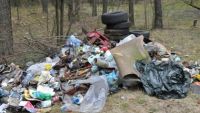 Современный комплекс для сортировки и размещения твердых бытовых и промышленных отходов появится в Дзержинске Нижегородской области в конце 2017 года
