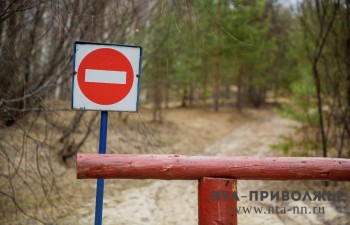 Полный запрет на посещение лесов введут в Самарской области с 22 апреля Полный запрет на посещение лесов введут в Самарской области с 22 апреля