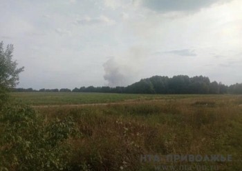 Пензенская область закупит беспилотники для контроля лесов Пензенская область закупит беспилотники для контроля лесов