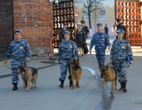 В Нижегородской области праздничные мероприятия, посвященные Дню Победы, прошли без грубых нарушений общественного порядка - ГУ МВД 