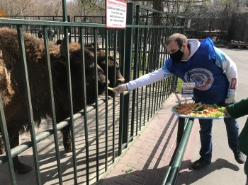  Волонтеры и общественники передали корм для животных в нижегородские зоопарки &quot;Мадагаскар&quot; и &quot;Лимпопо&quot;