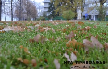 Народные приметы: 22 октября Народные приметы: 22 октября