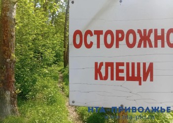 Свыше 8,6 тыс. татарстанцев обратились в больницы после укусов клещей Свыше 8,6 тыс. татарстанцев обратились в больницы после укусов клещей