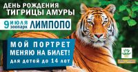 Тигрице Амуре из нижегородского зоопарка &quot;Лимпопо&quot; 9 июля исполняется 9 лет