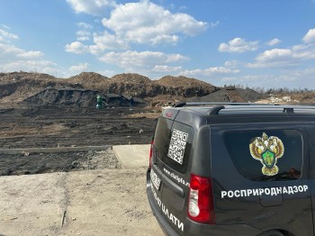 Свалка в сотни квадратных метров выявлена в Сормовском районе Нижнего Новгорода