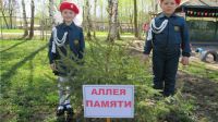 Воспитанники чебоксарских детских садов заложили &quot;Аллею Памяти&quot;


