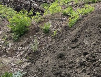 Сброс отходов с грузовика расследуют в самарском памятнике природы