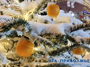 Не только дрова: что делать с новогодней елью на даче