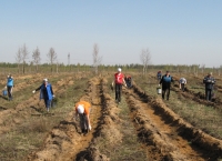 &quot;Нижновэнерго&quot; продолжает акцию &quot;Распределительный электросетевой комплекс – за охрану окружающей среды&quot;