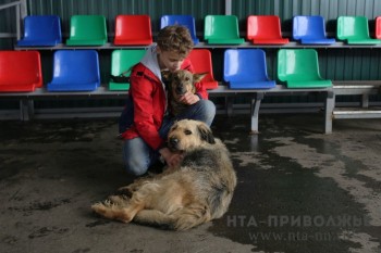 Россияне смогут оформить налоговый вычет за лечение животных