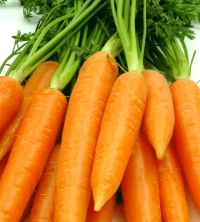 В Нижегородской области за неделю морковь подорожала на 8% 