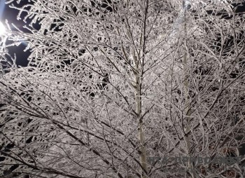 Народные приметы: 30 января