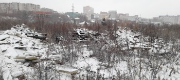 Росприроднадзор инициировал повторное обследование свалки в нижегородском СНТ &quot;Родник&quot; 