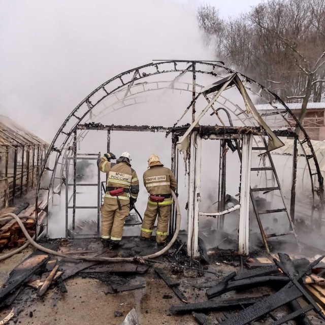 Теплица горела в Печёрском мужском монастыре в Нижнем Новгороде 13 ноября 