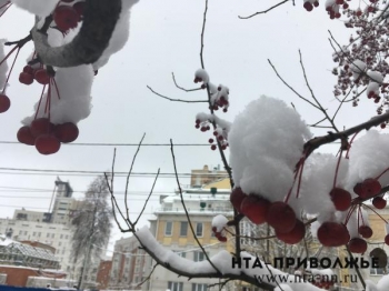 Облачная погода и снег ожидается в Нижегородской области в начале недели