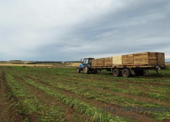 ₽312 млн компенсируют аграриям Оренбуржья при покупке техники в 2025 году ₽312 млн компенсируют аграриям Оренбуржья при покупке техники в 2025 году