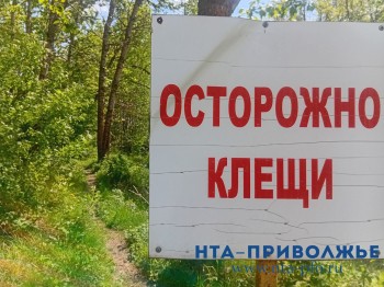 Первый в этом году случай клещевого энцефалита выявлен в Нижегородской области Первый в этом году случай клещевого энцефалита выявлен в Нижегородской области
