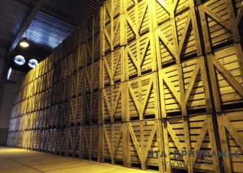 Первые партии татарстанского ячменя отправлены в Иран