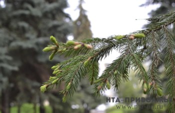 Народные приметы: 27 апреля 