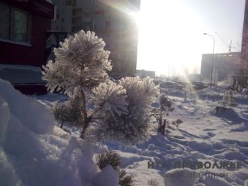 Более 1 тысячи человек в Нижегородской области пострадали от обморожений за первые 16 дней зимы