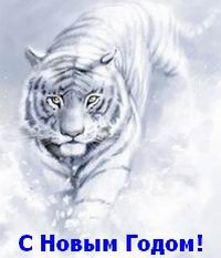 Новый 2010 год Тигра для всех знаков зодиака достаточно удачен, хотя и несколько неспокоен - гороскоп