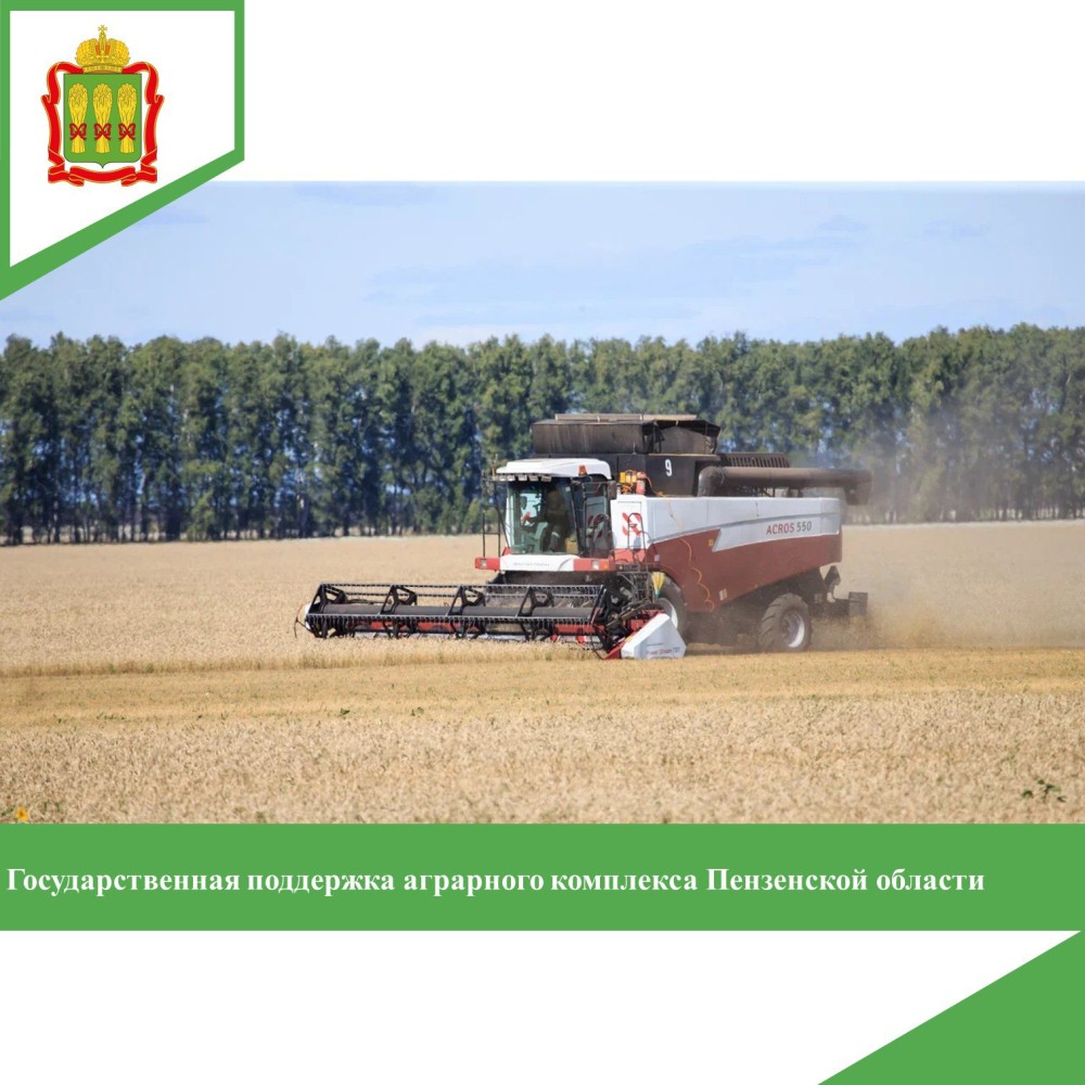 Господдержка пензенского АПК с начала года составила почти 1,3 млрд 