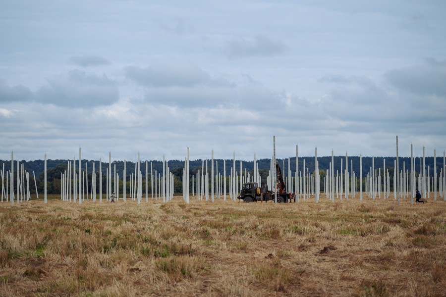 Два новых сорта хмеля начнут высаживать на полях агротехникума Чувашии