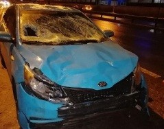 Задержан водитель, сбивший четырех подростков в Кстовском районе в новогоднюю ночь 