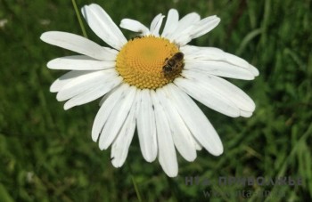 Народные приметы: 28 апреля