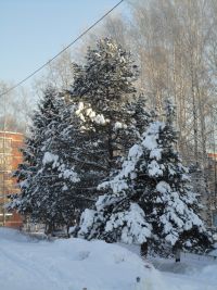 В Нижегородской области в ближайшие дни сохранится мороз около 20 градусов