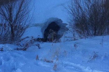 Прокуратура организует проверку в связи с гибелью ребёнка на пруду в Нижегородской области