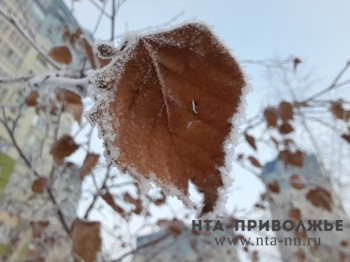 Народные приметы: 2 ноября Народные приметы: 2 ноября