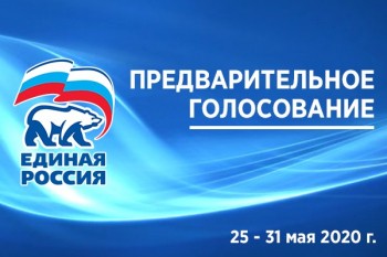 Более 20 тыс. нижегородцев уже проголосовали за кандидатов от &quot;Единой России&quot; для участия в выборах депутатов городской Думы