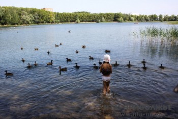 Качество воды в водоемах Нижегородской области соответствует нормам по микробиологии, паразитологии и химсоставу