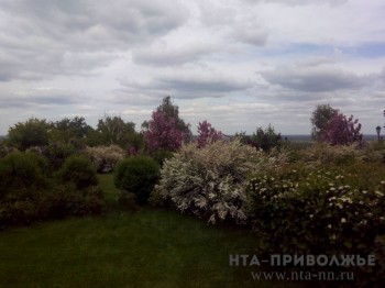 Экосистему парковых пространств создадут в Нижнем Новгороде