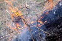 Более 600 раз выезжали нижегородские пожарные на тушение сухой травы и мусора 24 марта – 16 апреля

