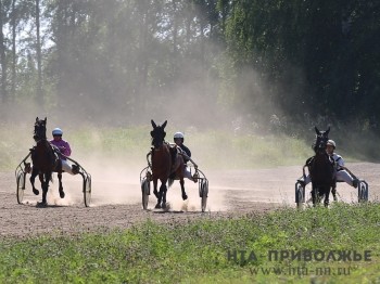 Виталий Мутко поручил министерствам спорта и образования РФ содействовать разрешению ситуации с нижегородской СДЮШОР