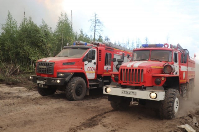 Около 1,5 тыс. спасателей участвуют в ликвидации природного пожара в Мордовском заповеднике