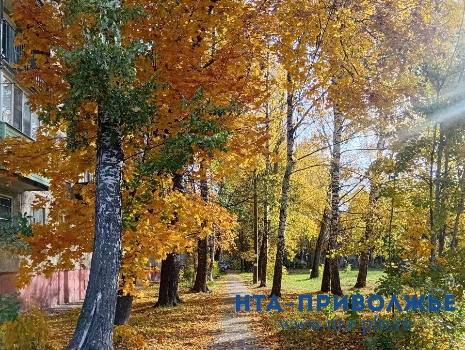 Осеннюю хандру долой: с нижегородцами поделились секретами психического здоровья