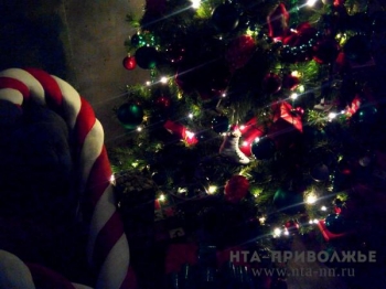 Празднование Нового года и Рождества в Нижнем Новгороде пройдет в стиле елок, проводившихся Максимом Горьким