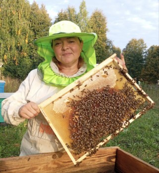 Чувашский мёд признали одним из лучших в стране