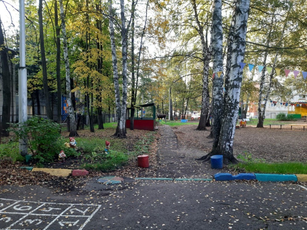 Спасатели ловят лося в центре Уфы