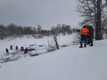 Более 1,25 тыс. овец извлечено из озера в Башкирии