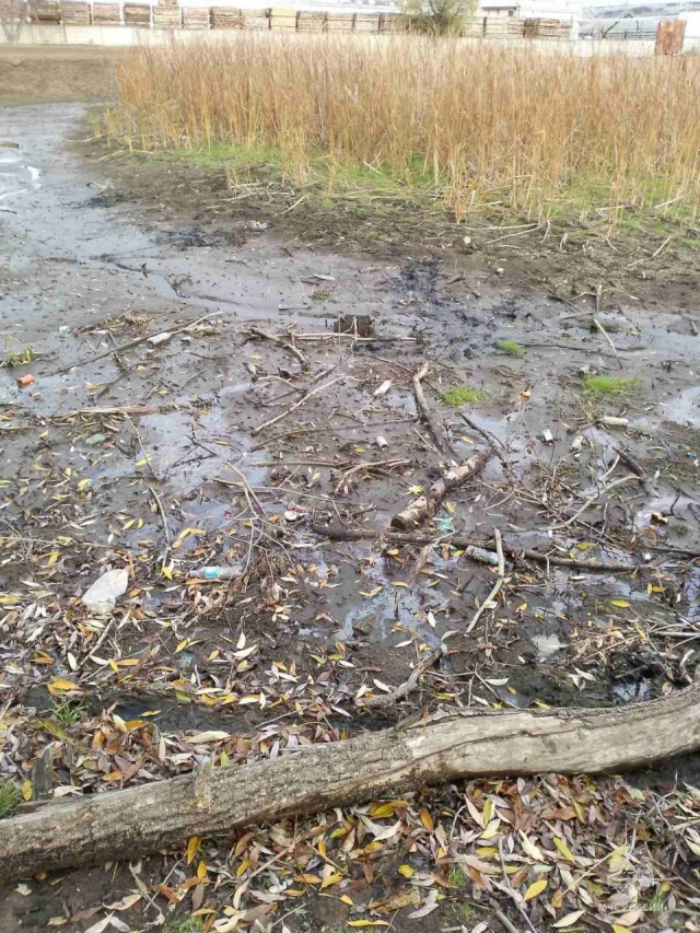 Семилетнего мальчика спасли из болота в Ульяновской области