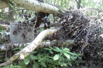 Ураган унес жизни ребенка и двух мужчин в Самарской области