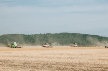 Почти 4 тыс. тонн гороха уже намолотили в Чувашии