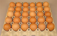 В Нижегородской области за неделю яйца подорожали на 3,4%

