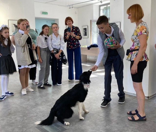 Выставка о судьбе бездомных животных открылась в нижегородском Русском музее фотографии