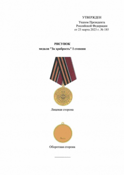 Владимир Путин учредил медаль "За храбрость"